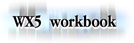 WX5 workbook